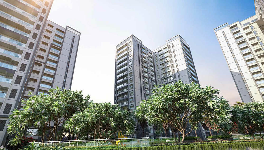 Prestige Pine Forest