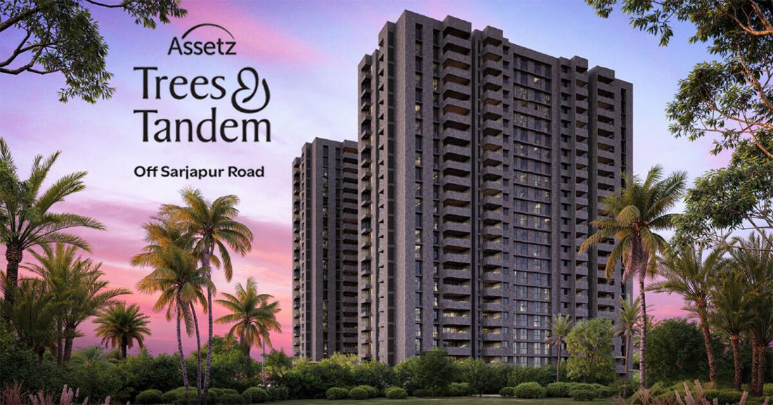 Assetz Tree And Tandem